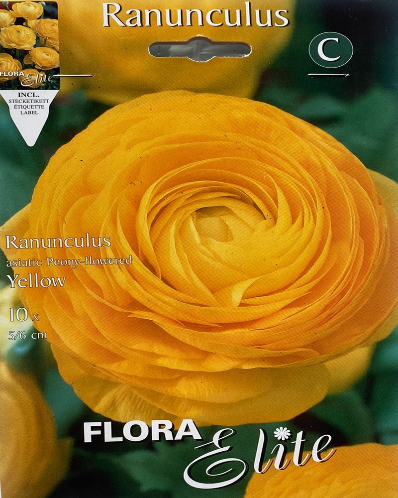 [5-1109] 