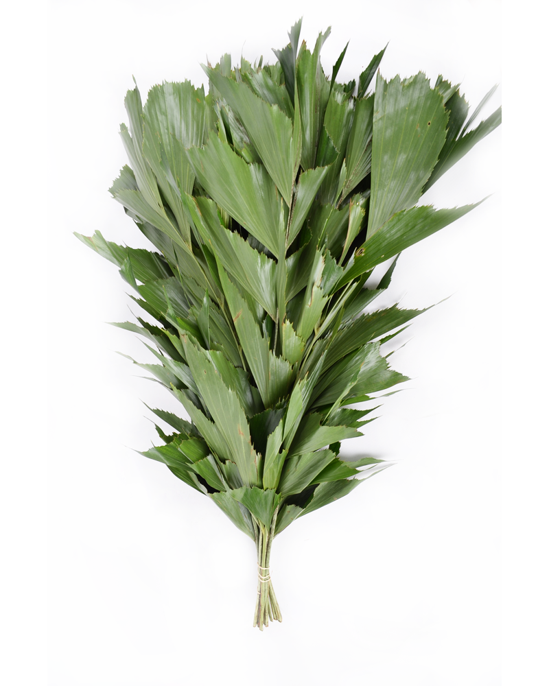 [6-0200] 