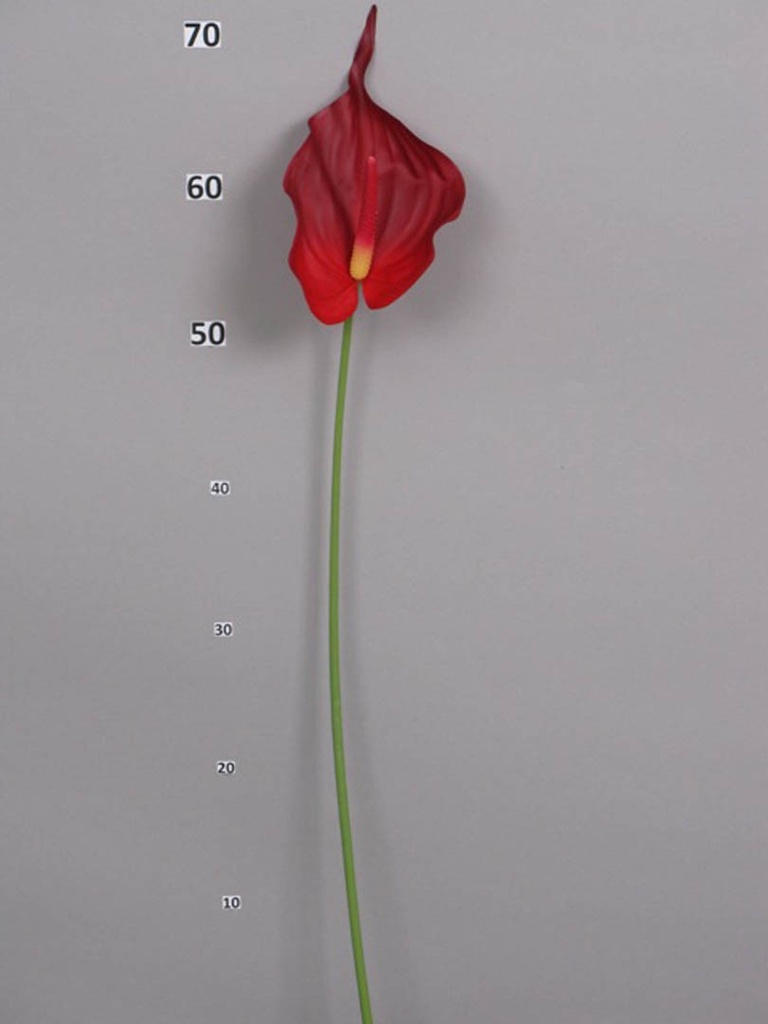 [6-9127] 
