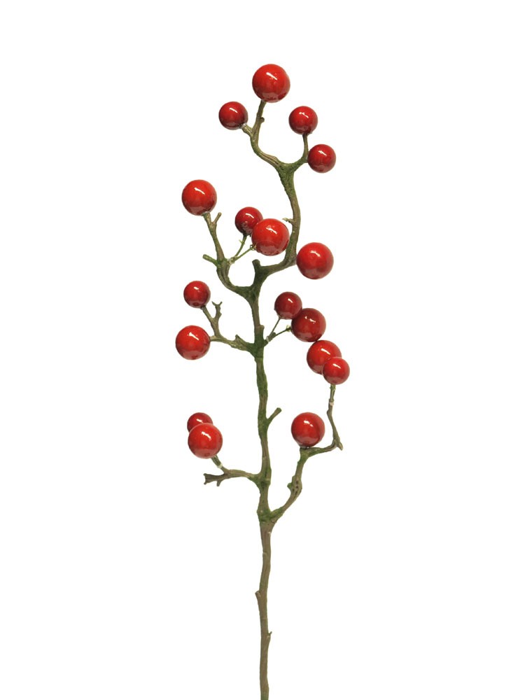 [6-10971] 