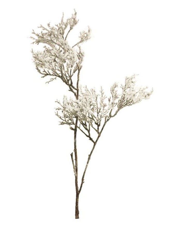 [6-10950] 