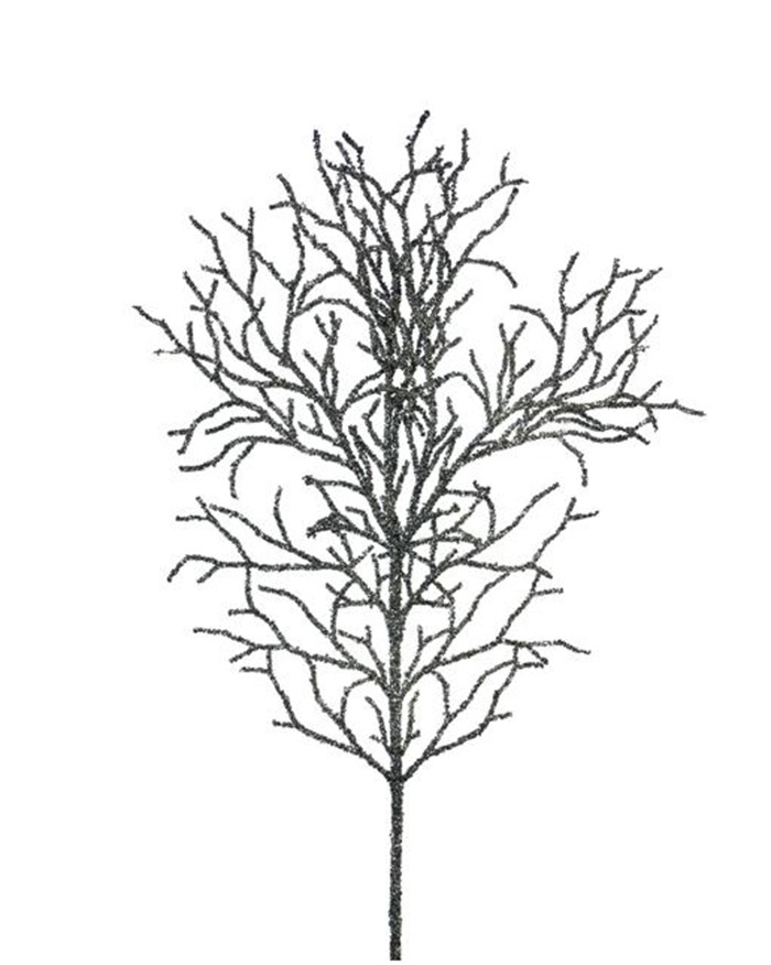 [6-10945] 