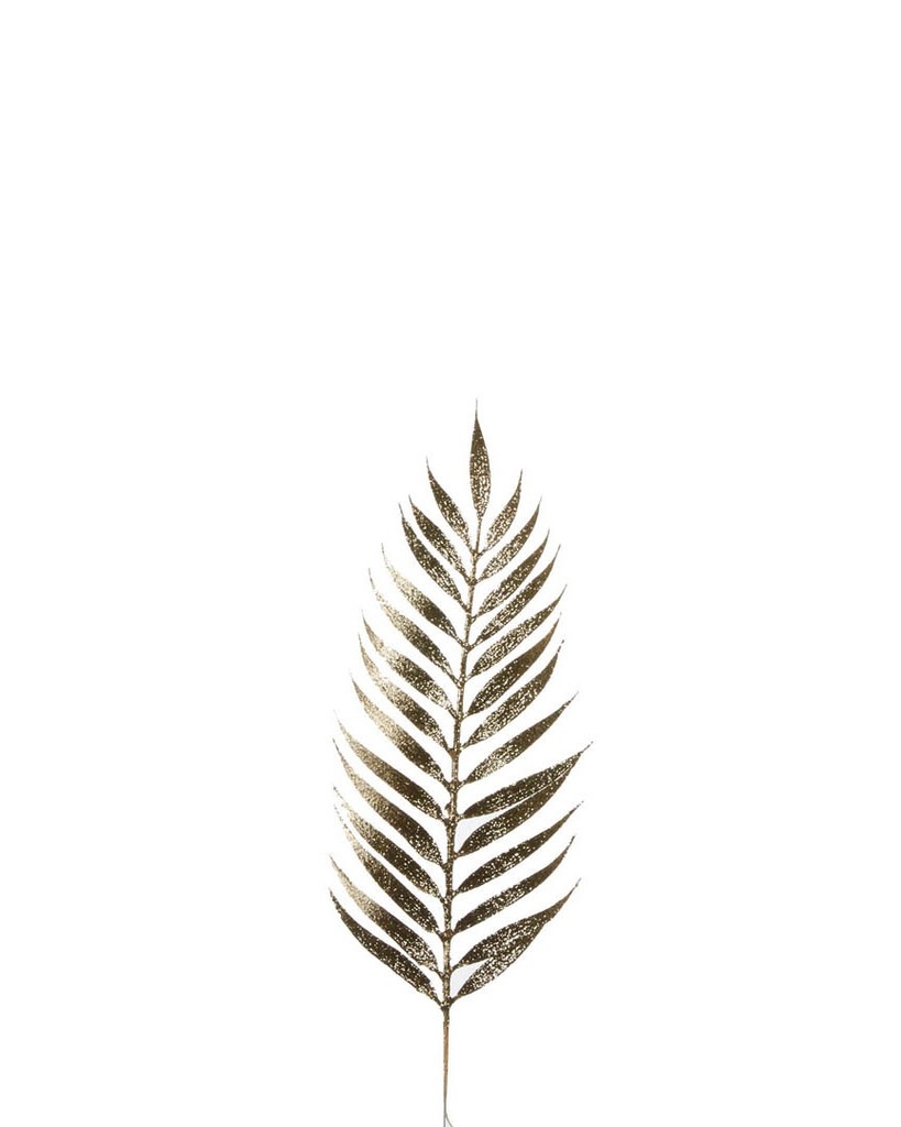 [6-12013] 