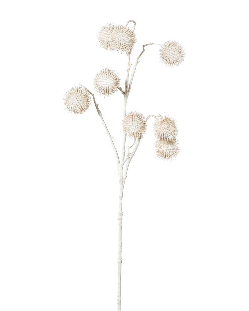 [6-12094] 