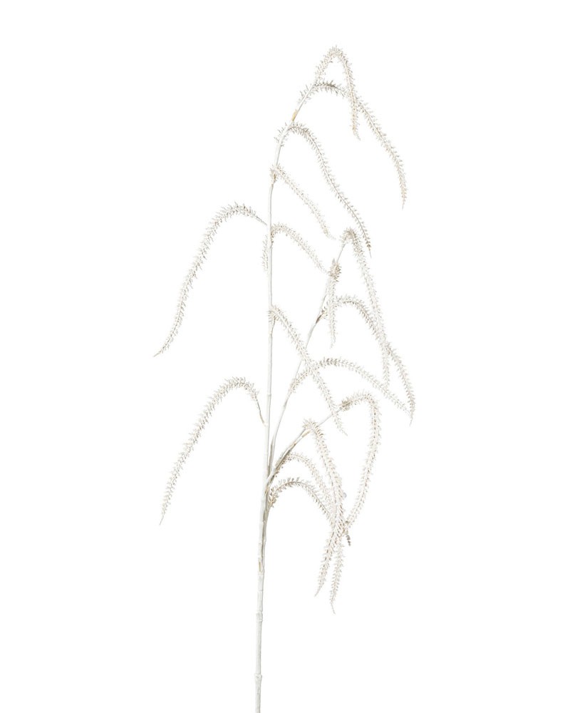 [6-12095] 
