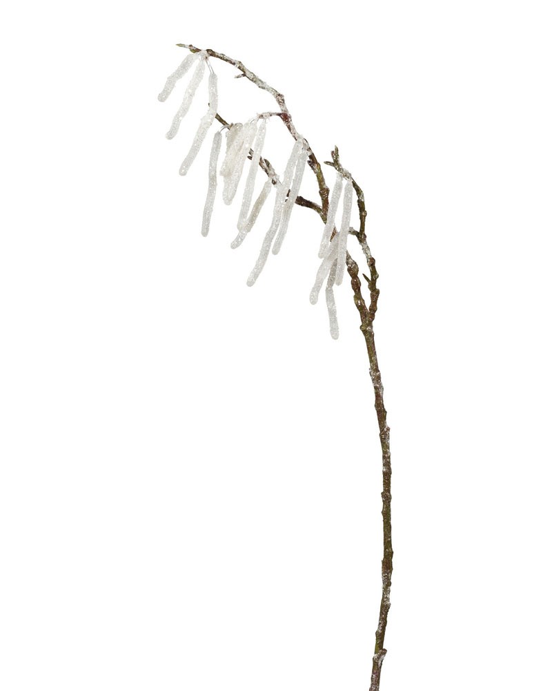 [6-12105] 