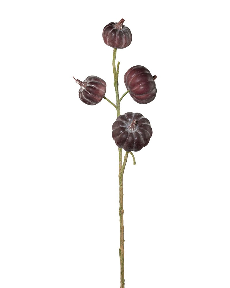 [6-12121] 