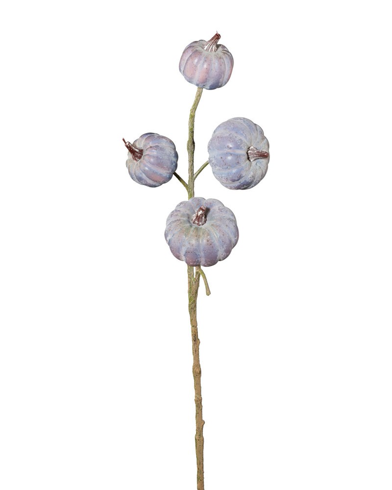 [6-12122] 