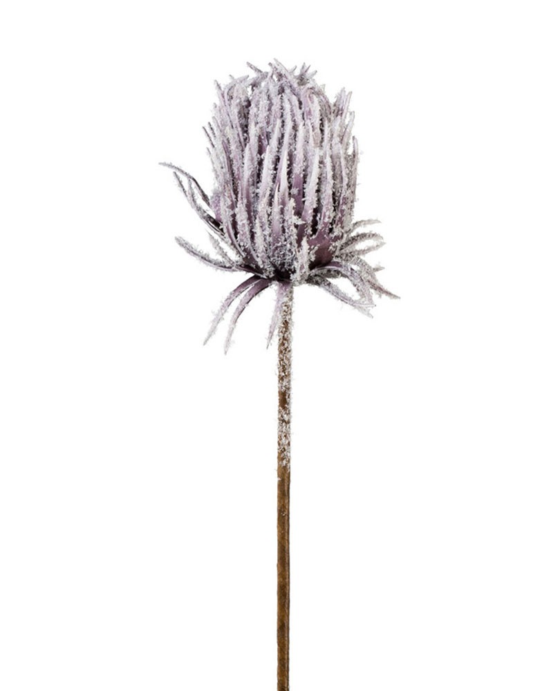[6-12187] 