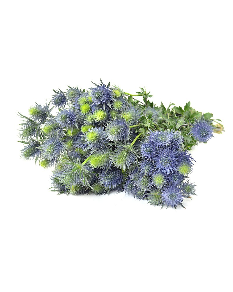[6-0112] 