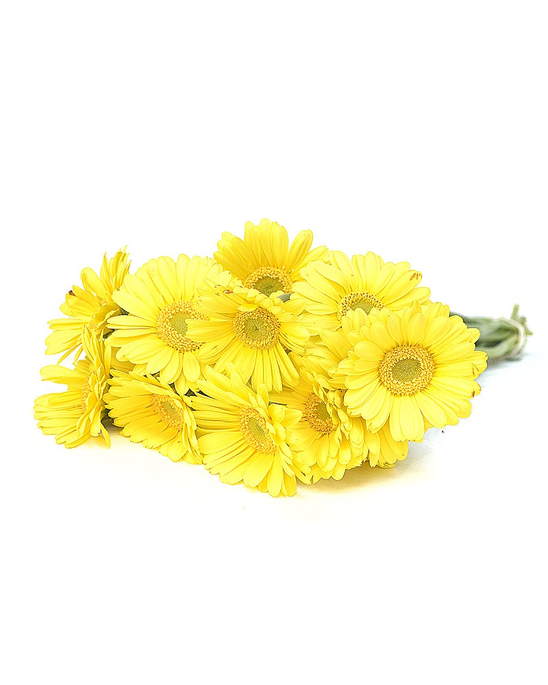 [903172] 