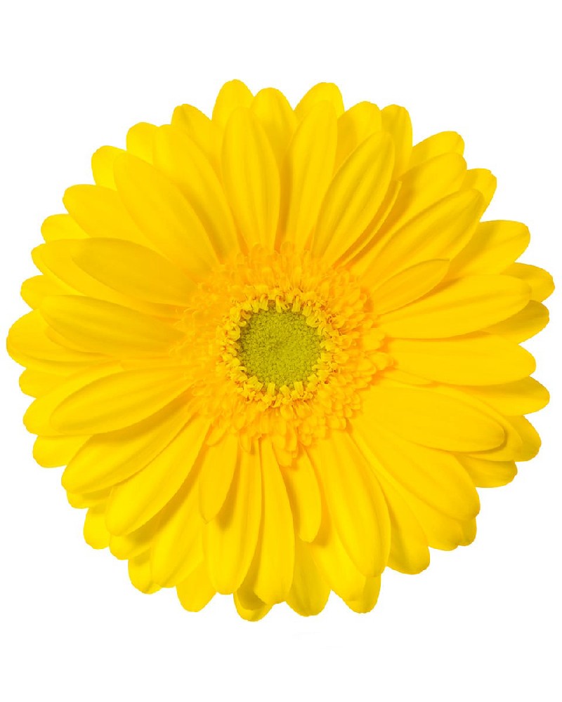 [6-9199] 