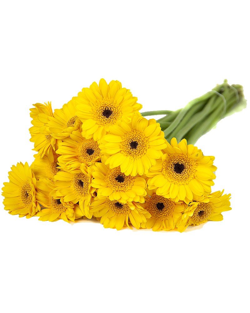 [5-2671] 