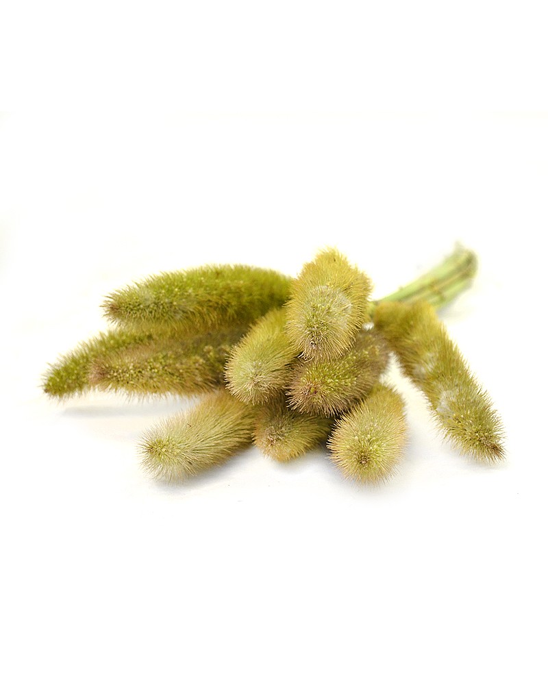 [0-0427] 