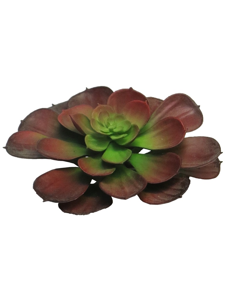 [5-2604] 