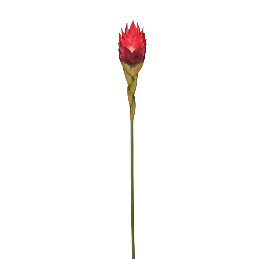 [5-2973] 