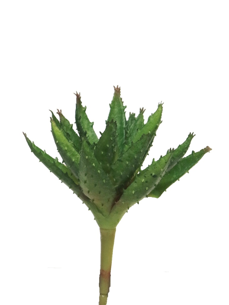 [6-1906] 