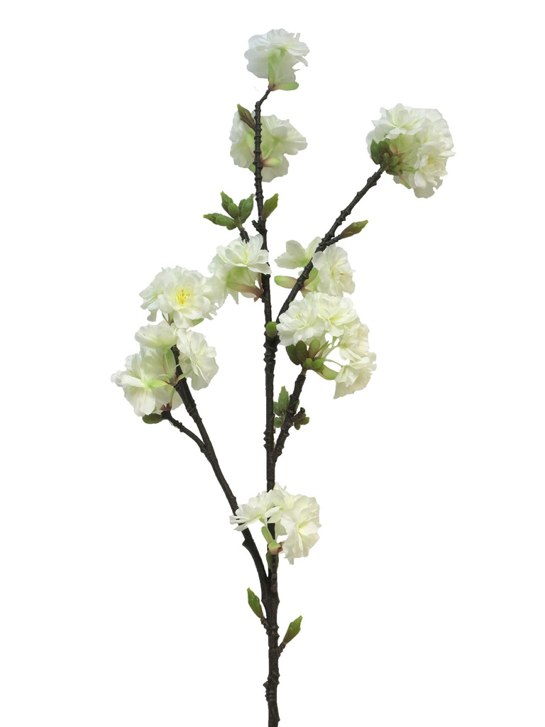 [5-2618] 