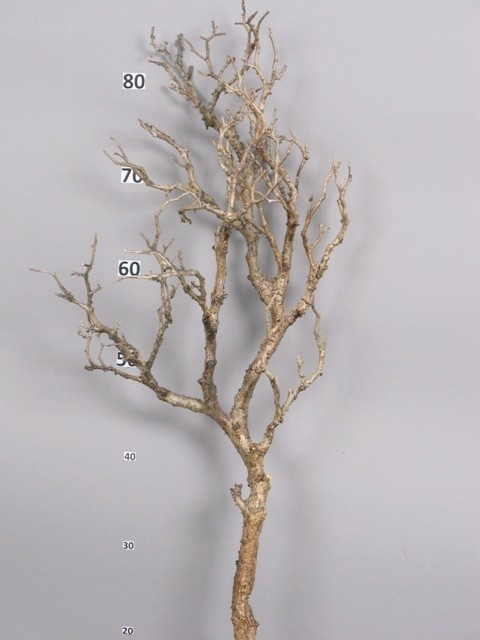 [409863] 