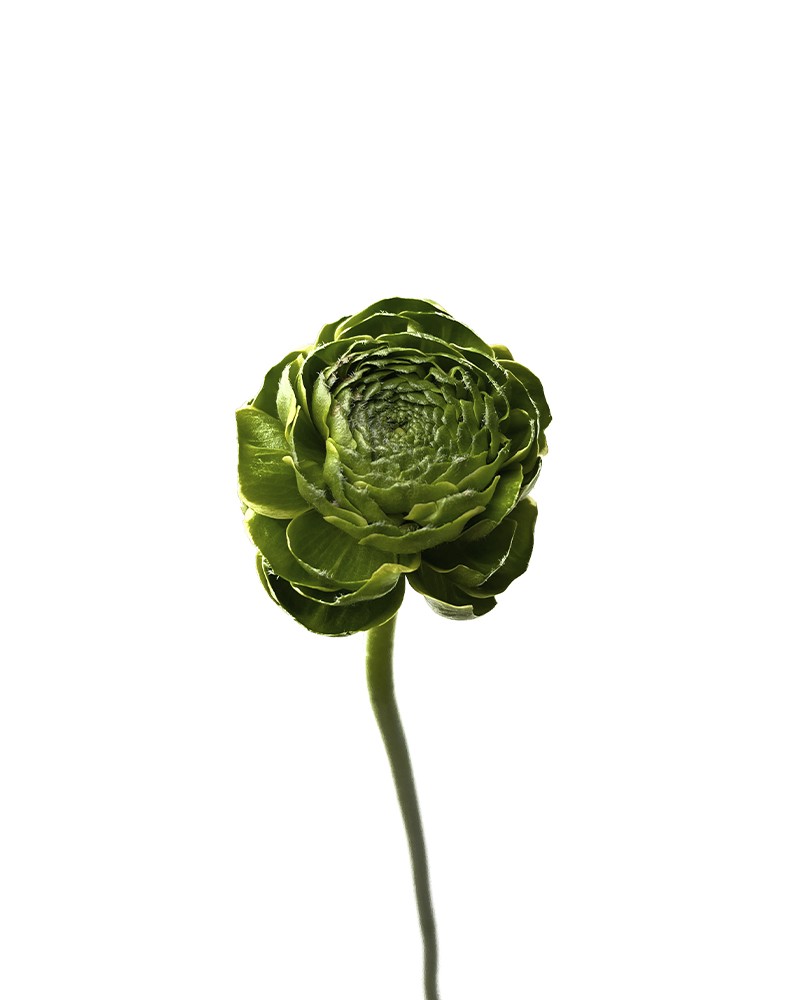 [6-6398] 