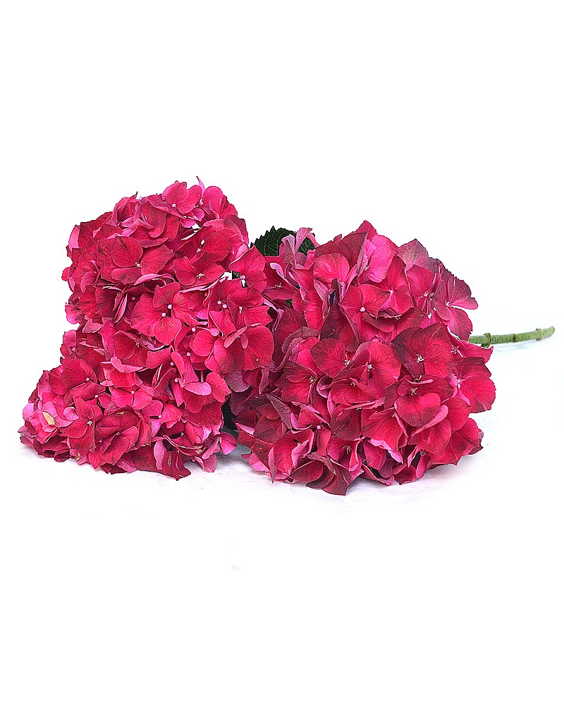 [6-2353] 