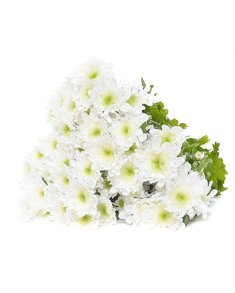 [933845] 