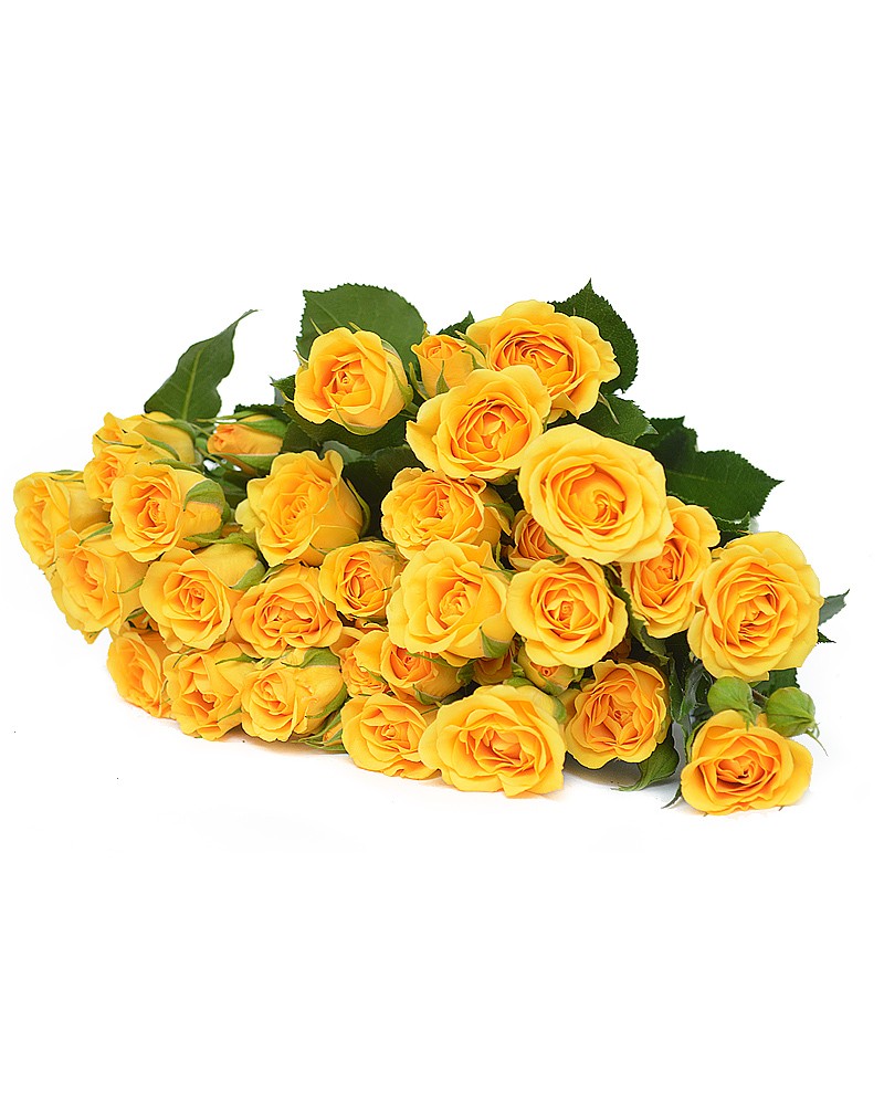 [956648] 