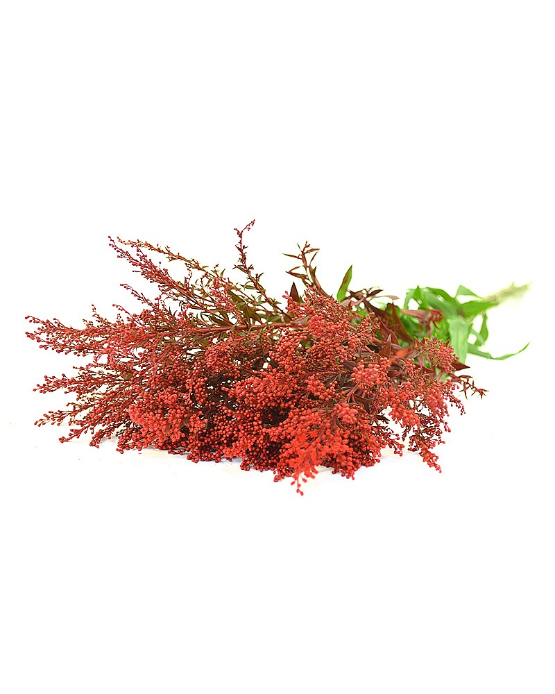 [6-0120] 
