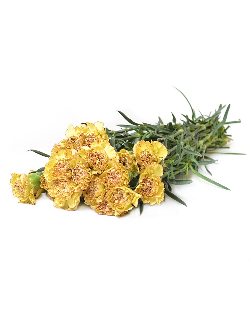 [6-0180] 