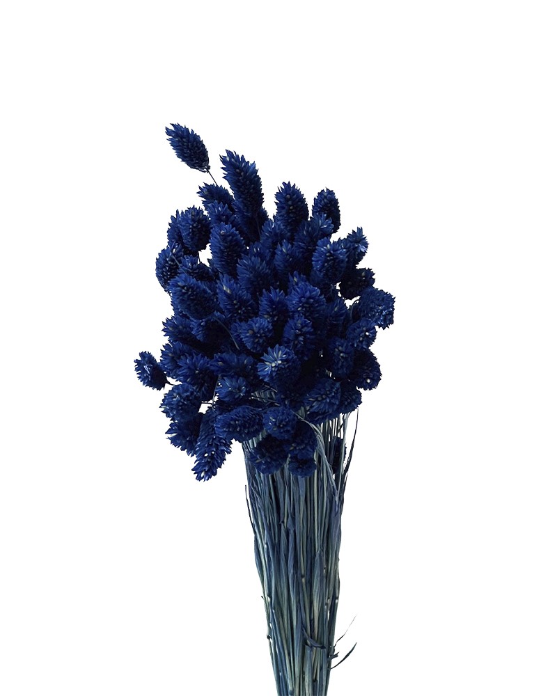 [6-36666] 