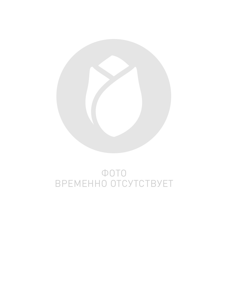 [923484] 