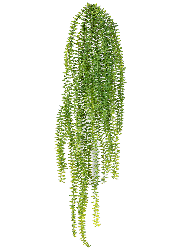 [6-35631] 