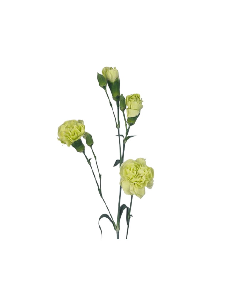 [6-0314] 