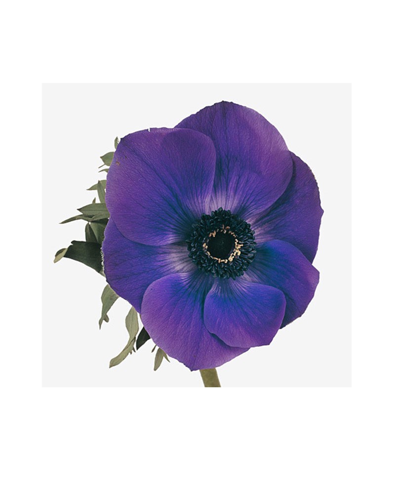[6-8721] 