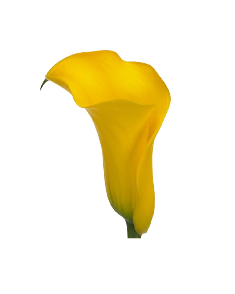 [930903] 