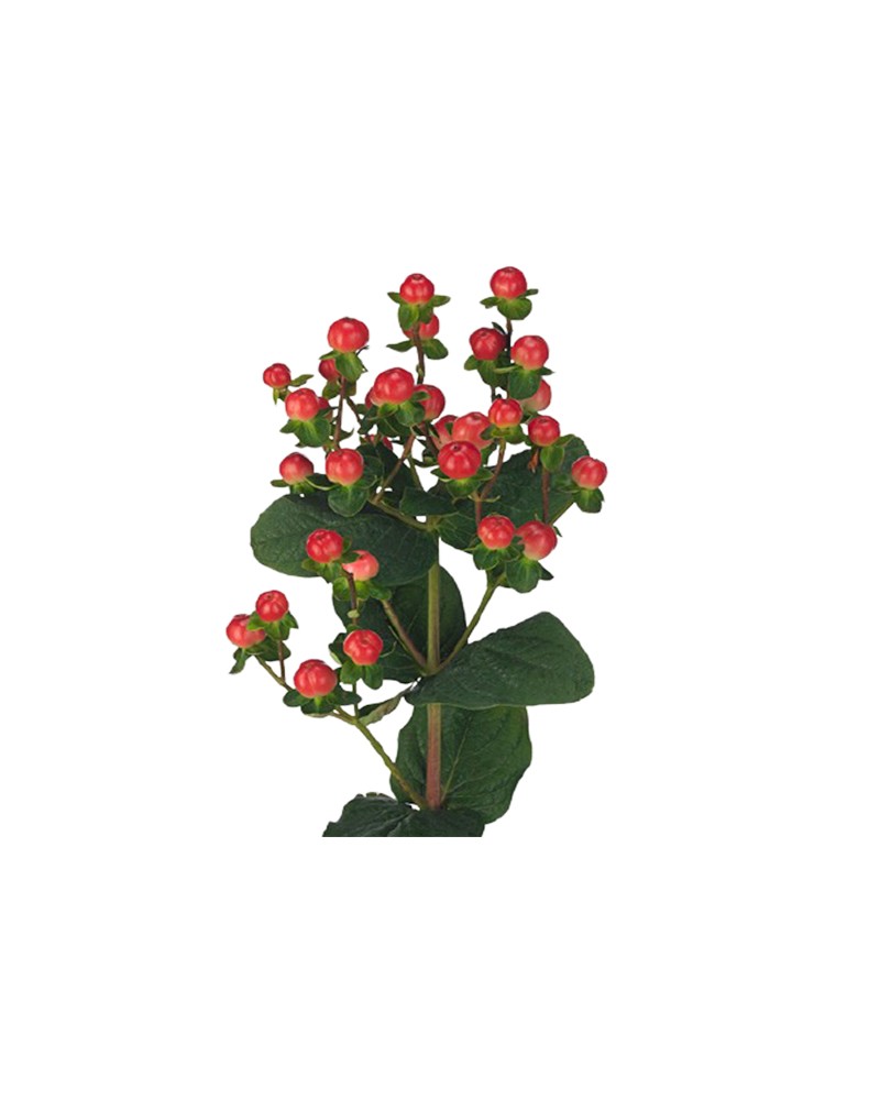 [6-0619] 