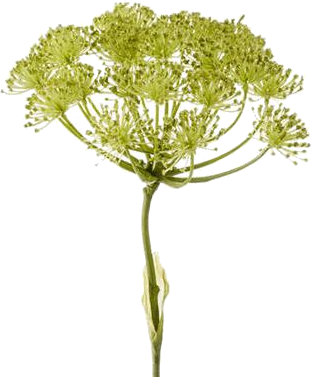 [6-20319] 