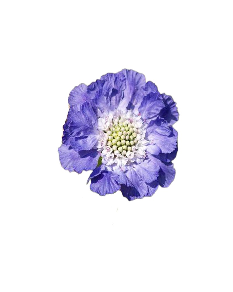 [6-26362] 