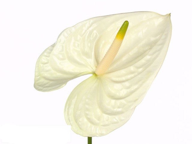 [5-0107] 