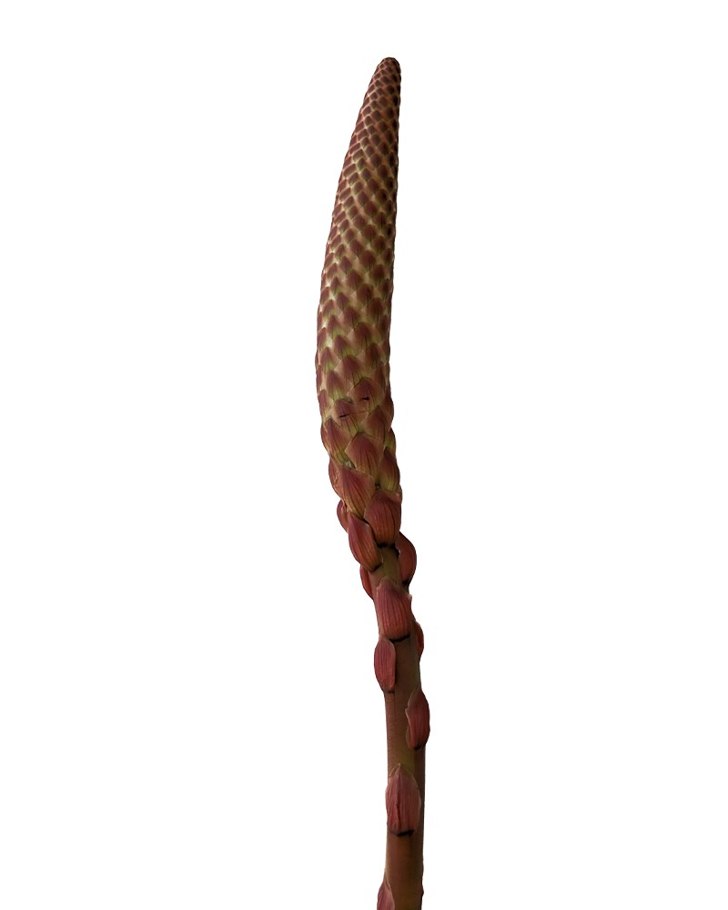 [6-15078] 
