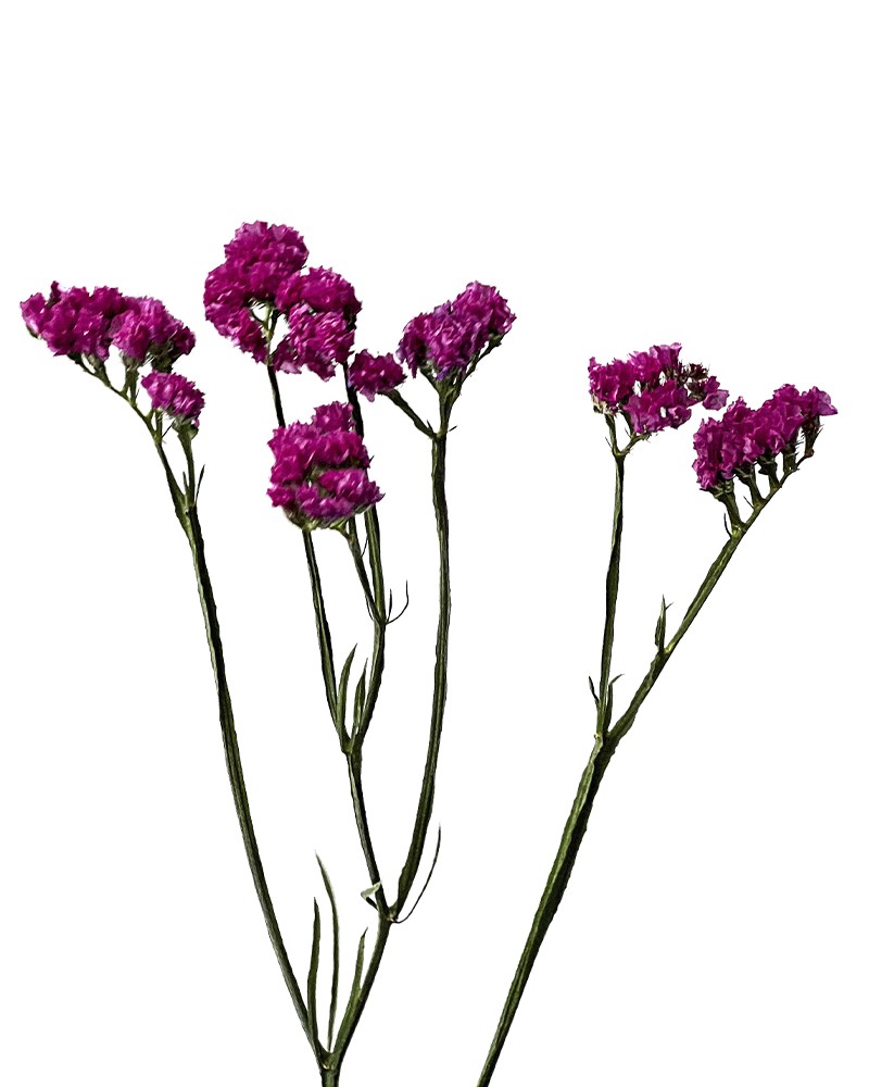 [6-26902] 