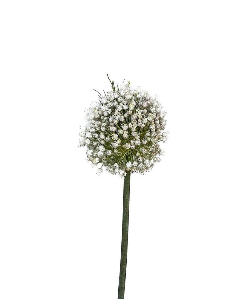[6-27302] 