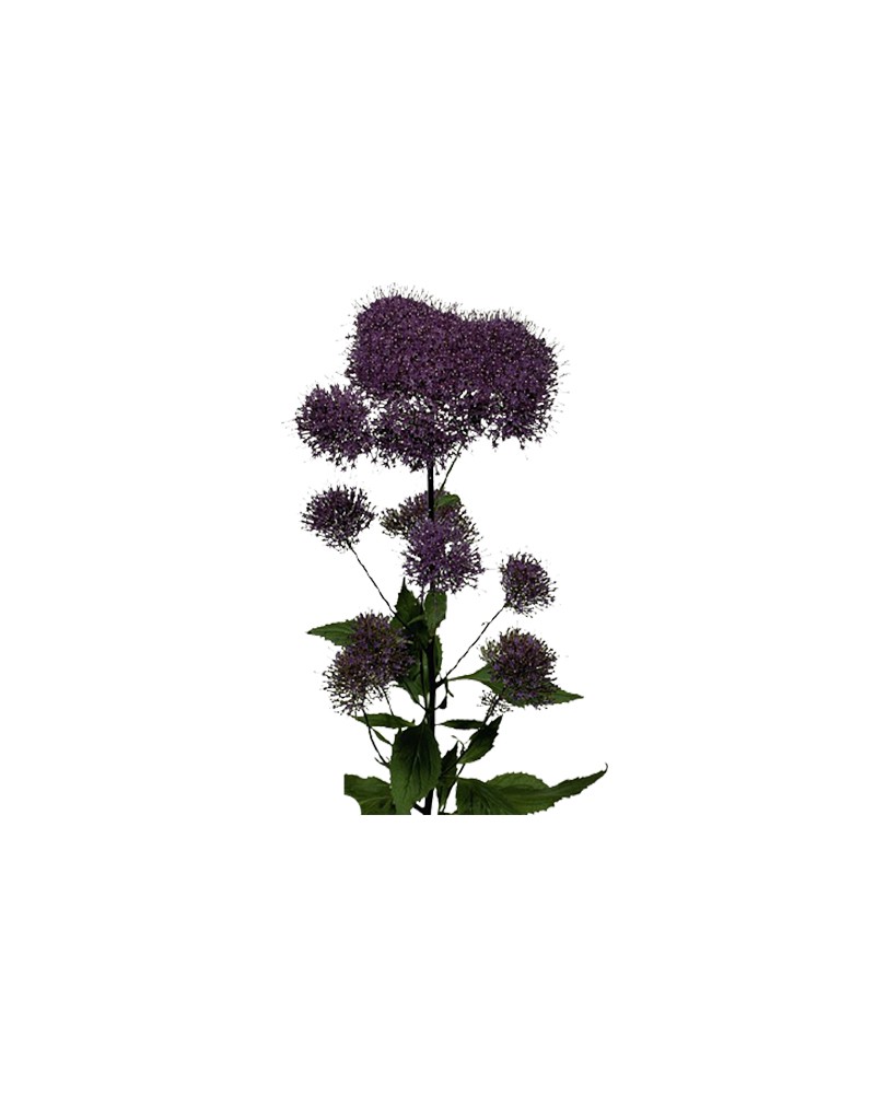 [5-1314] 
