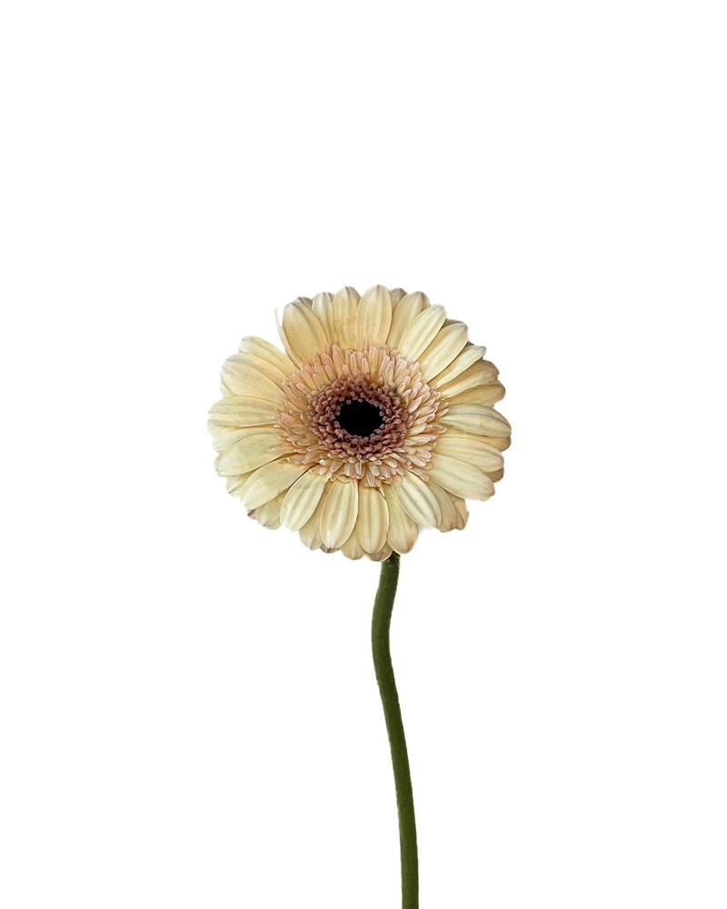 [6-25362] 