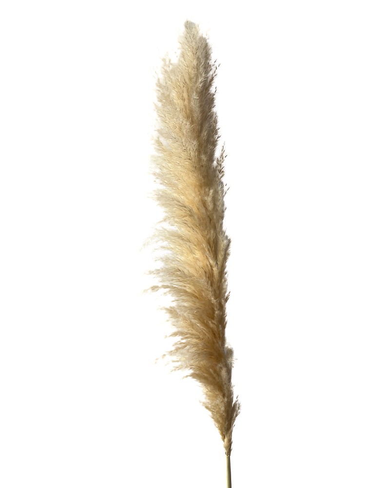 [6-18988] 