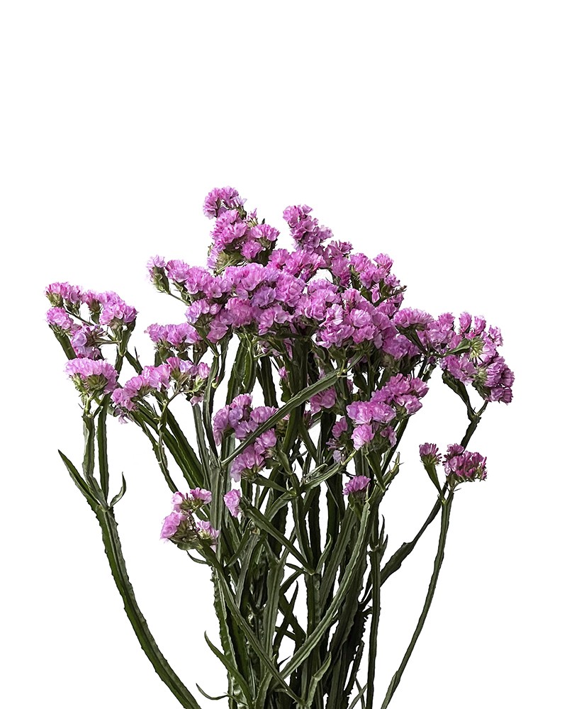 [6-10344] 