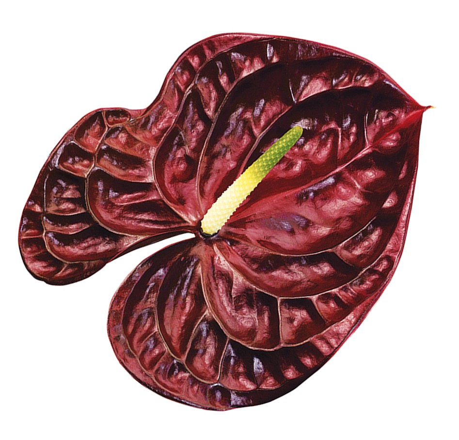 [951868] 