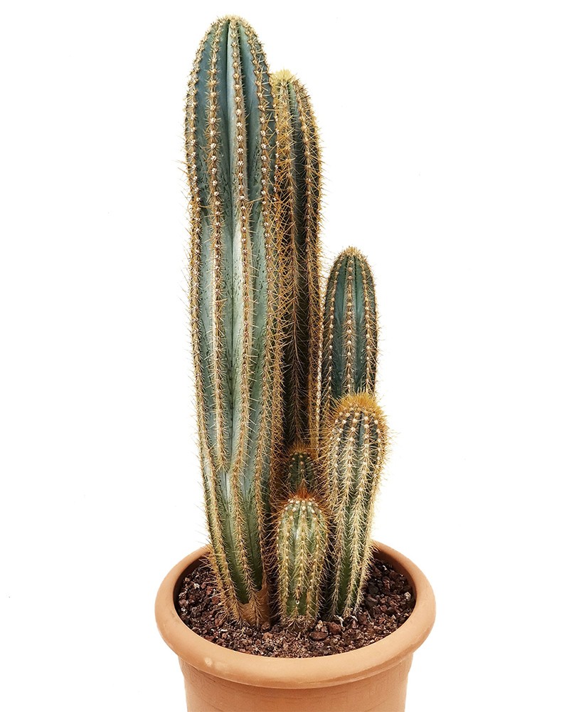 [6-34212] 