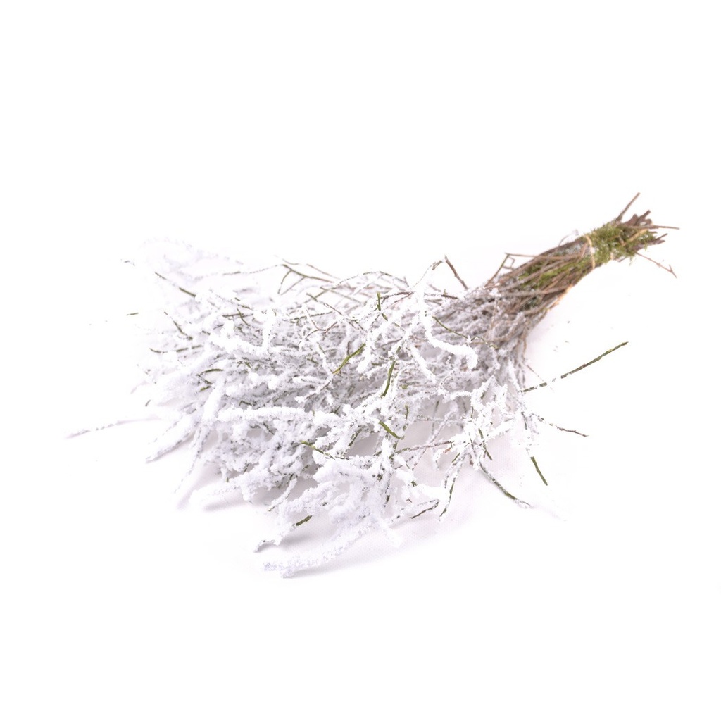[6-29890] 