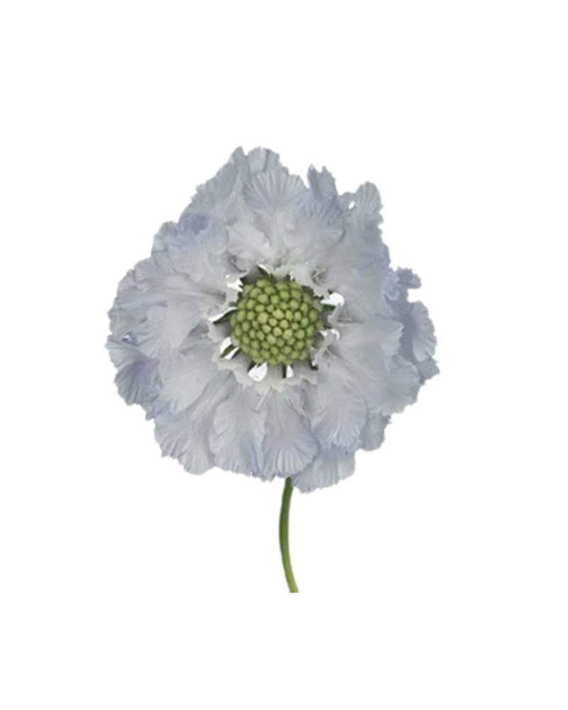 [6-28376] 
